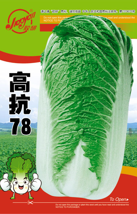 高抗78——秋播白菜